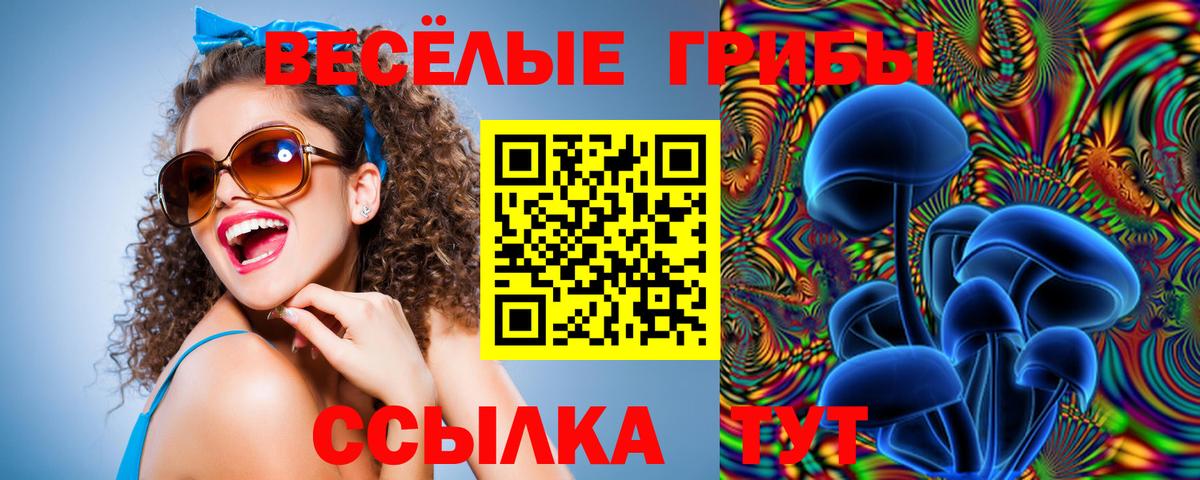 Псилоцибиновые грибы Psilocybe  Вход с VPN  что такое наркотик  Галлюциногенные грибы Psilocybe  Асбест 